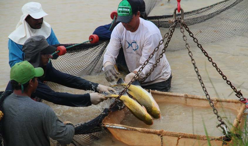 Proibida a pesca por 120 dias em Rondônia, Sedam alerta que violação ao defeso é crime ambiental