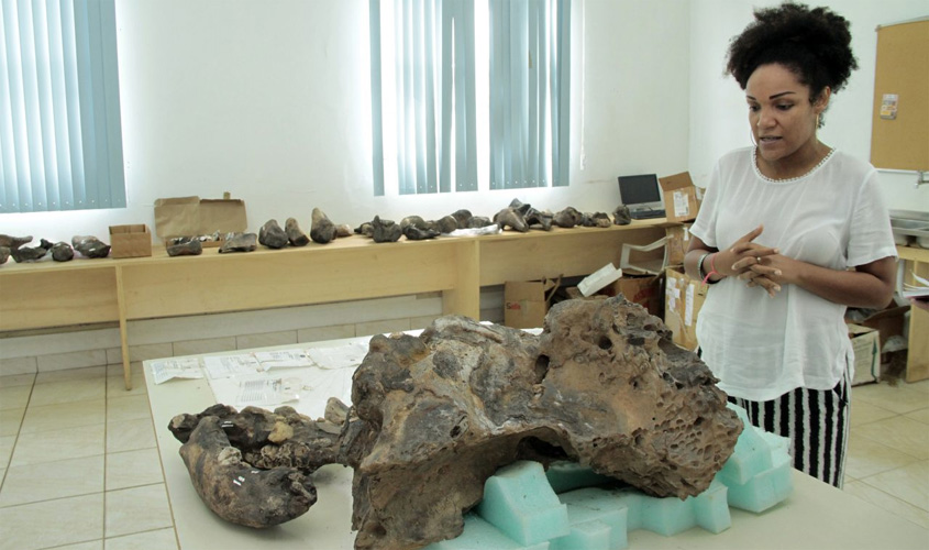 Museu da Memória cataloga e aceita doações de fósseis de animais gigantes recolhidos de garimpos no rio Madeira