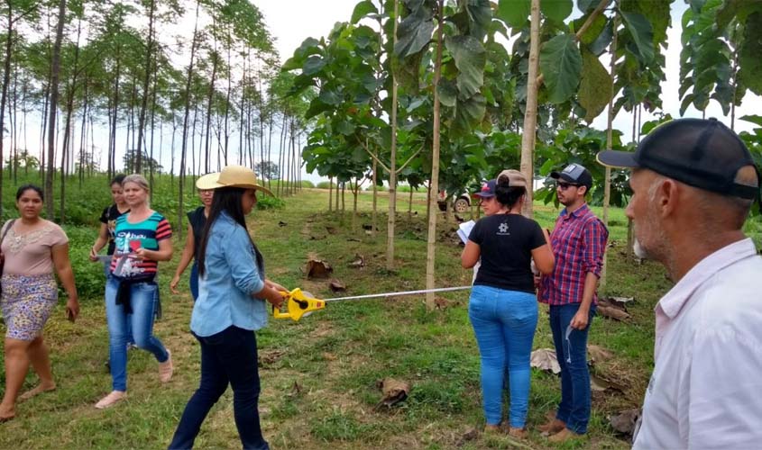 Estudantes participam de aula prática sobre floresta plantada na vitrine tecnológica da 7ª Rondônia Rural Show