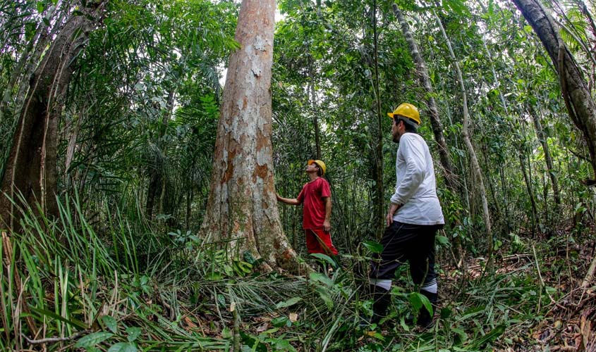 Projeto Rondônia Sustentável apresenta estratégias para conservação e desenvolvimento ambiental
