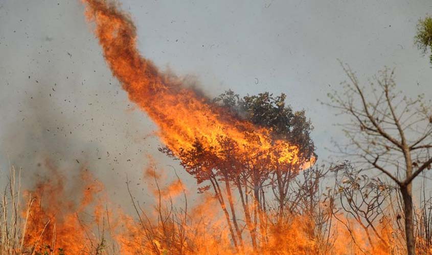 Mato Grosso pode prorrogar até outubro proibição de queimadas